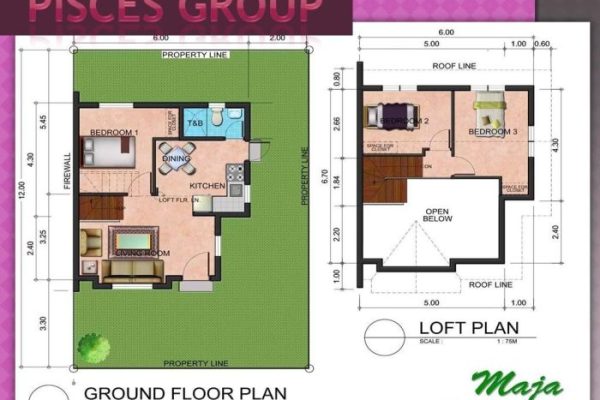 Desain rumah minimalis luas tanah 60